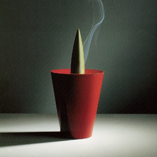 Joe Cactus (Alessi) - Autres